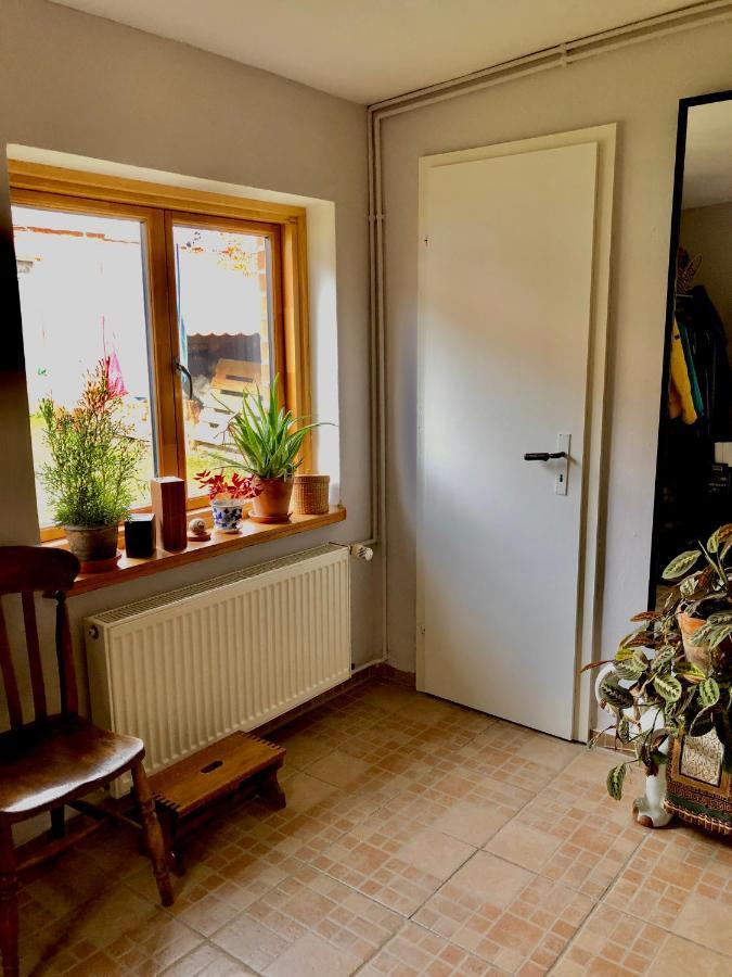 Gemuetliches Studio-Apartment In Ostseenaehe - Cosy Wulfi Probsteierhagen Exterior foto